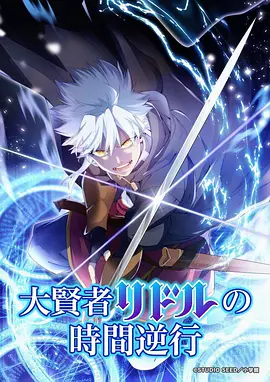 风起青萍 国创动画海报